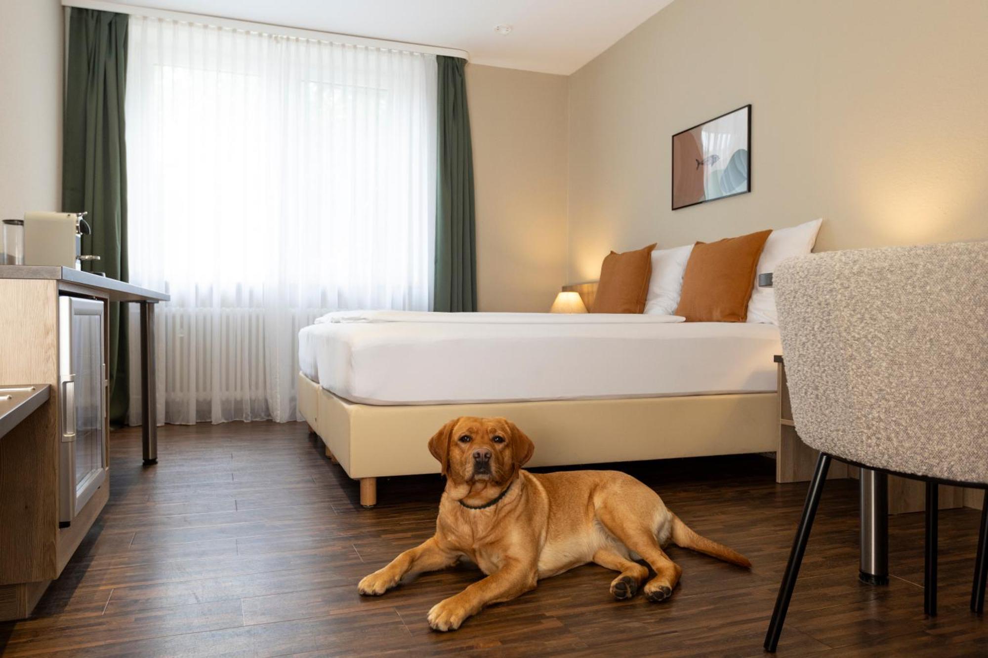 Hotel Fischzucht In Wuerzburg المظهر الخارجي الصورة